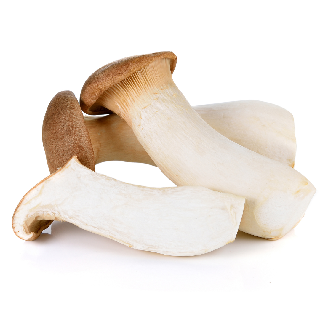 Eryngii (King Oyster) Mushroom – EAT.